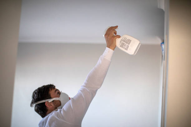 Best Mold Remediation for Schools in Shelton, NE