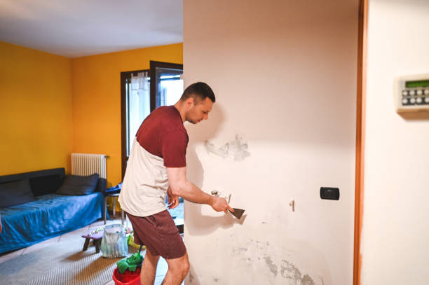 Best Preventive Mold Services in Shelton, NE
